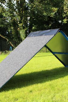 Off Lead Agility-斯特拉班