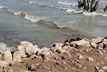 Salon Del Reino De Los Testigos De Jehova景点图片