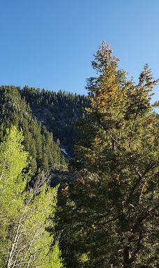 Dimple Dell Regional Park-山迪