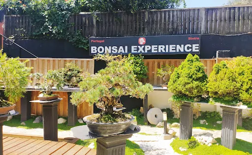 Museu do Bonsai