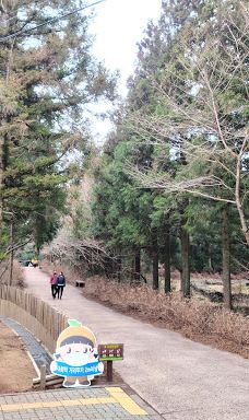 思连伊林道红色登高入口-西归浦市