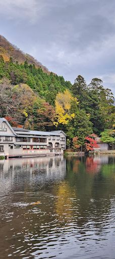 汤之坪街道-由布市