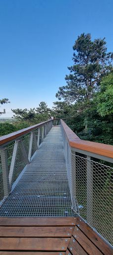 巴拉顿湖球形观景台-巴拉顿博格拉尔