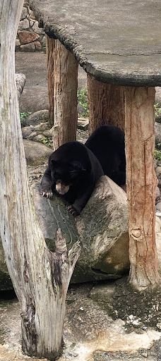 SAFARI LAGOI BINTAN-民丹岛