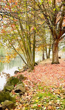 Waverly Park Parking-奥尔巴尼