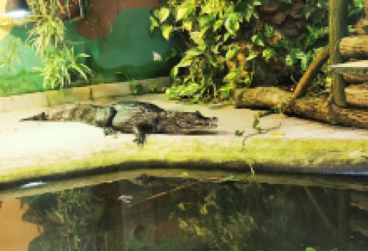 Kleinzoo Wasserstern e.V.景点图片
