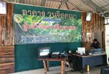 North-South Yangnumglad Reforestation Development Project for Ecotourism景点图片