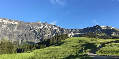 Paintball Experience