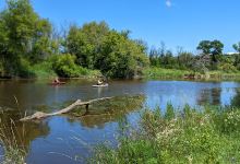 Horicon Marsh State Wildlife Area景点图片