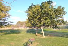 Noble Creek RV Park景点图片