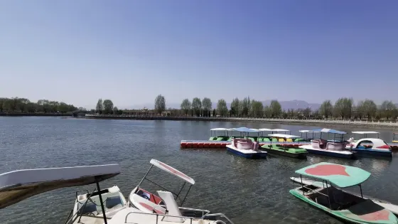 代縣滹沱河濕地公園