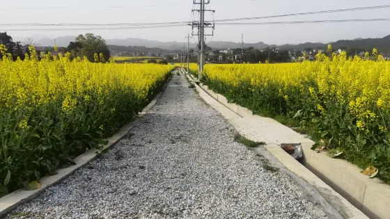 廟萬水庫