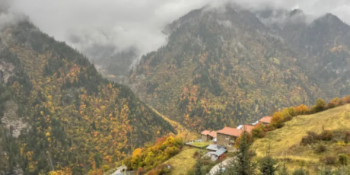 羊茸村彩林觀景點