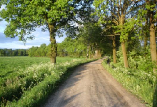 Camping Coolewee景点图片