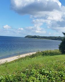 Sophiæodde-米泽尔法特