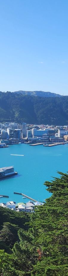 维多利亚山-惠灵顿