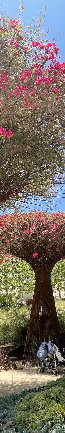 盖蒂中心-洛杉矶