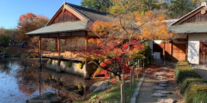 哈瑟爾特日本庭園