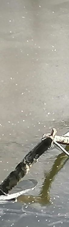 维多利亚公园-贝尔法斯特