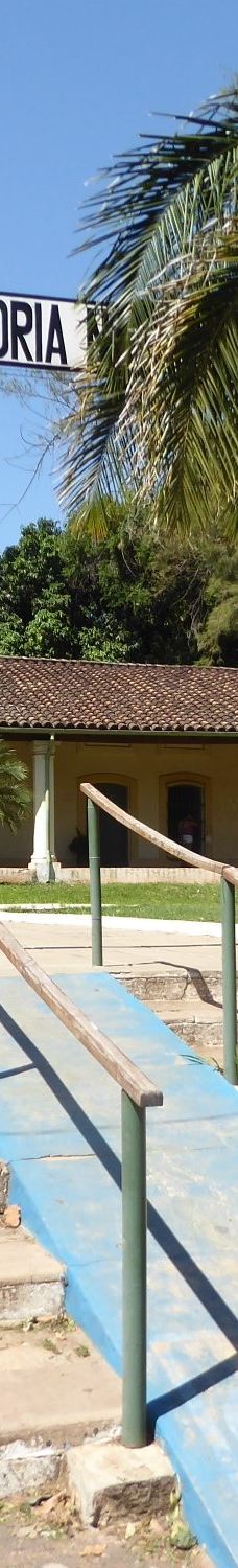 Botanical Garden of Asunción-亚松森