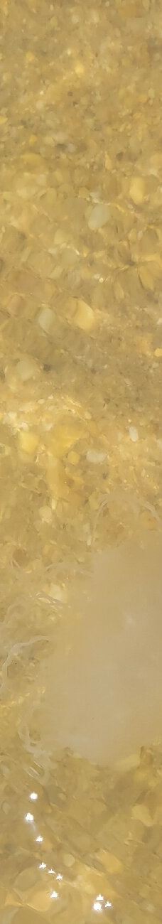 Point Lookout State Park-圣玛丽县