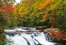 Bald River Falls景点图片