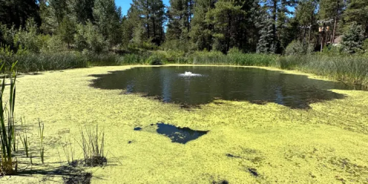 The Arboretum at Flagstaff