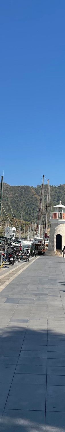 马尔马里斯-马米勒斯