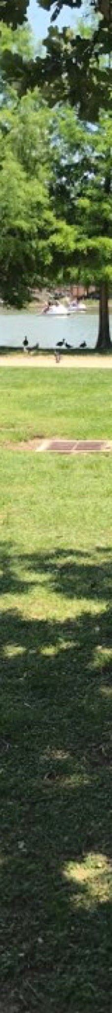 赫曼公园-休斯敦