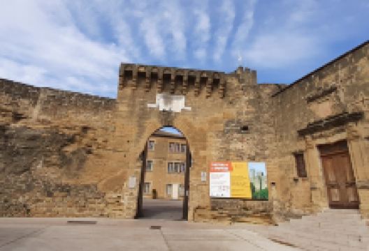 Chateau de l'Emperi景点图片