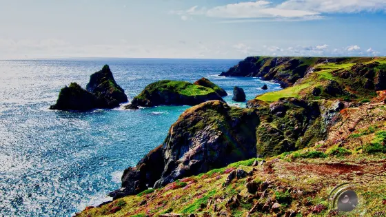 Predannack Downs Nature Reserve