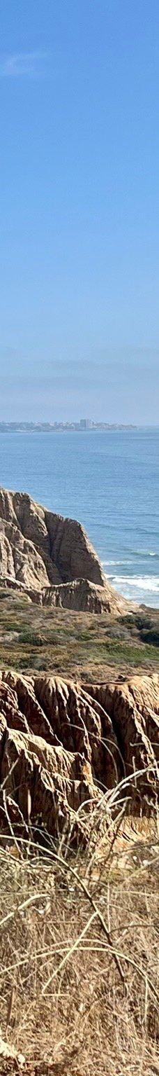 多利松国家自然保护区-佐拉