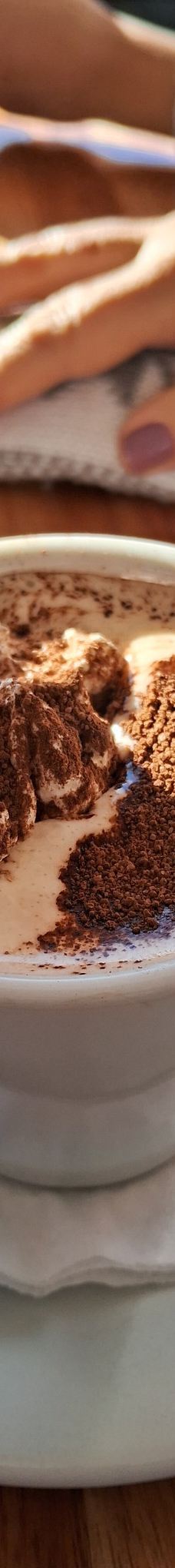 Cerro Otto-圣卡洛斯-德巴里洛切