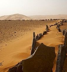 艾卡库斯沙漠-加特