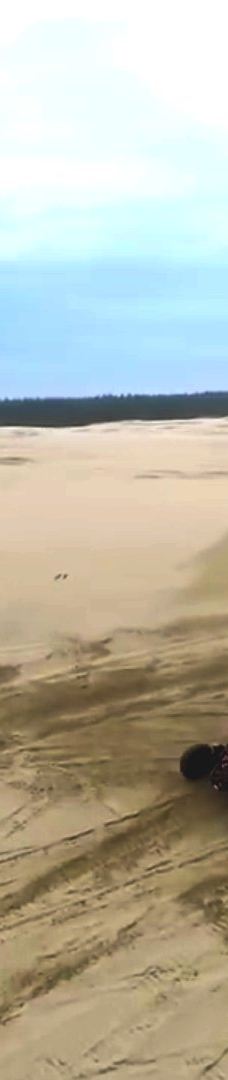 Sandland Adventures Inc-雷恩县