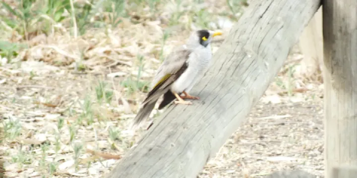 Lower Goulburn National Park