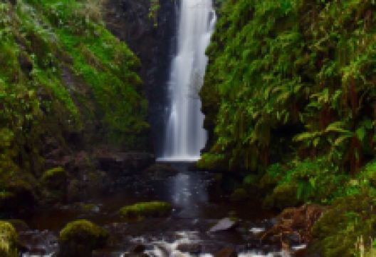 Cranny Falls景点图片