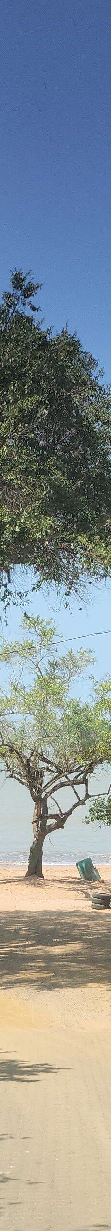 Coqueiro Beach-伊尔