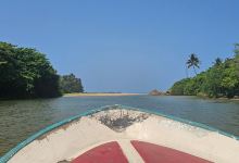 Mangrove Cave River Safari景点图片