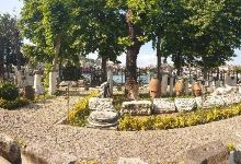 Amasra Museum景点图片