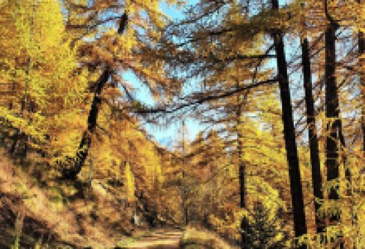 Valle del Gran San Bernardo景点图片