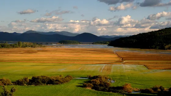 采爾克尼察湖