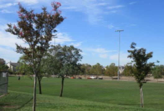 Robertson Park景点图片