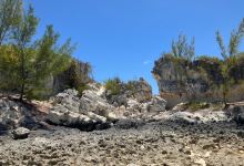 Whiteland Beach景点图片
