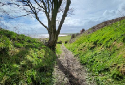 Old Battery景点图片