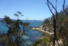 Davidson Whaling Station景点图片