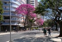 Avenida Afonso Pena景点图片