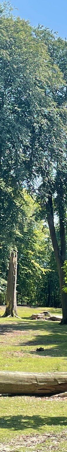 Dyrehaven Vejle-瓦埃勒