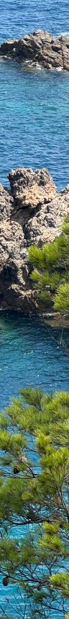 Playa Sa Riera-巴古尔