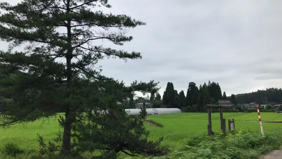 水上谷遺跡